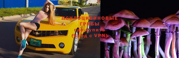 винт Михайлов