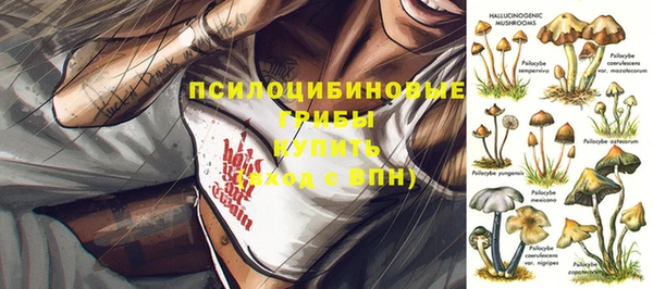 MDMA Михайловск
