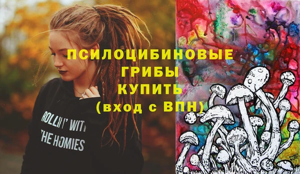 винт Михайлов