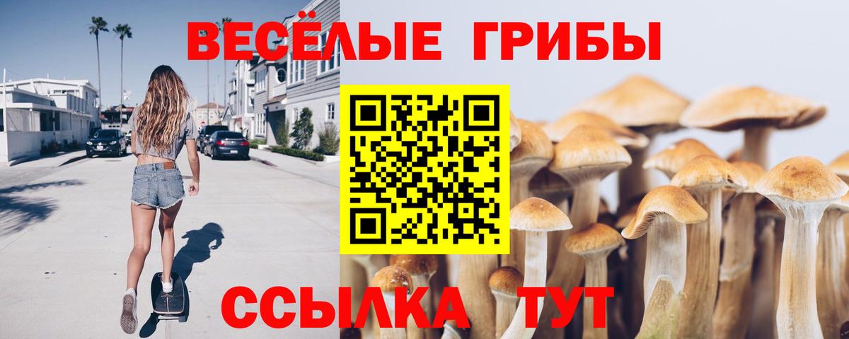 Галлюциногенные грибы мухоморы  Вход с VPN  Черногорск 
