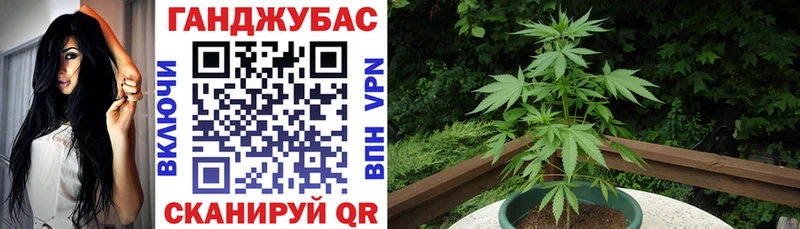 Бошки марихуана планчик  Черногорск 